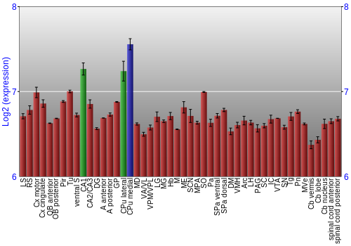 Multi-state expression graph