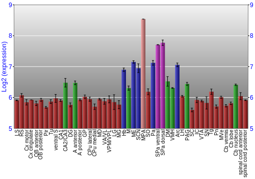 Multi-state expression graph