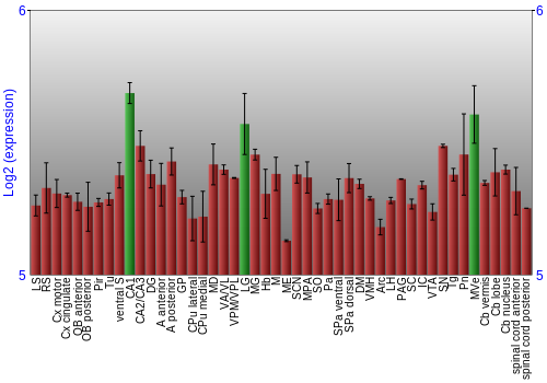 Multi-state expression graph