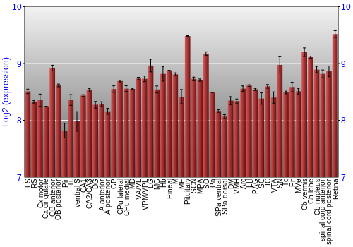 Expression graph