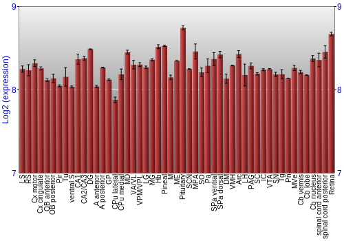Expression graph