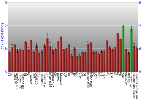 Multi-state expression graph