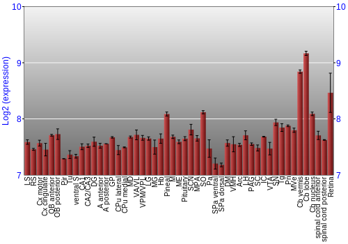 Expression graph