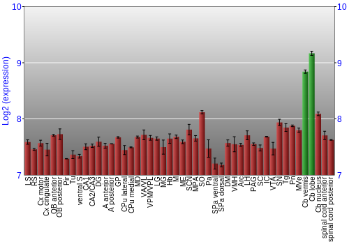 Multi-state expression graph