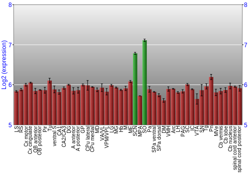 Multi-state expression graph