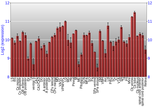 Expression graph