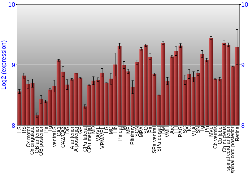 Expression graph