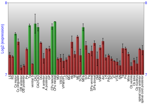 Multi-state expression graph