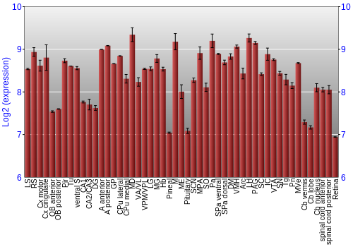 Expression graph