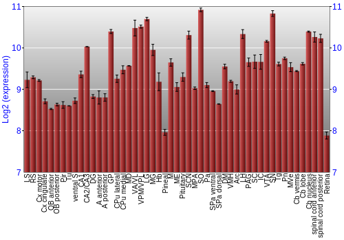 Expression graph