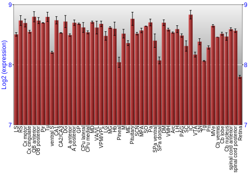 Expression graph