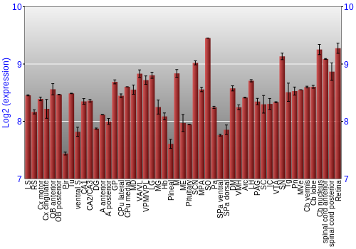 Expression graph