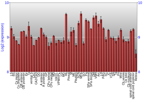 Expression graph