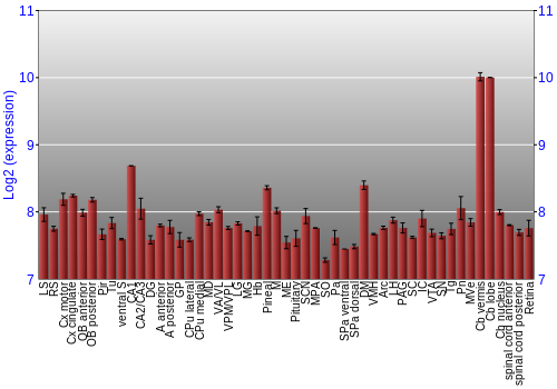 Expression graph