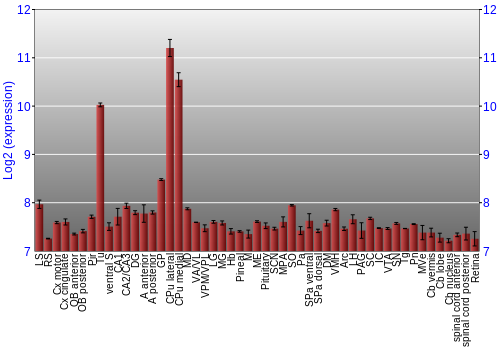 Expression graph