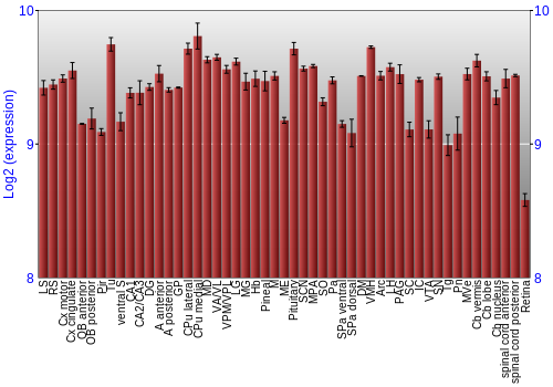 Expression graph