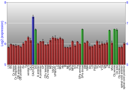 Multi-state expression graph