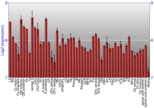 Expression graph