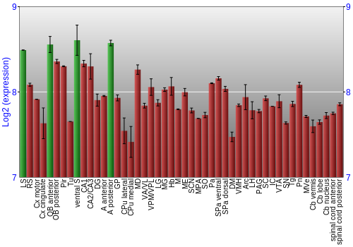 Multi-state expression graph
