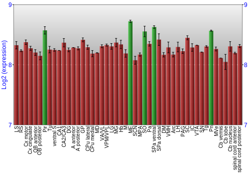 Multi-state expression graph