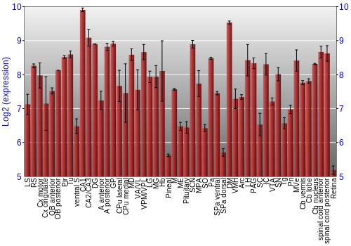 Expression graph