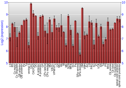 Multi-state expression graph