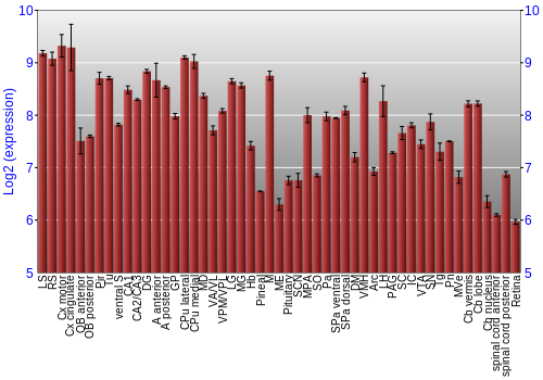 Expression graph