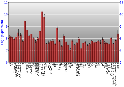 Expression graph