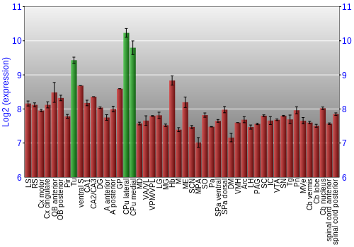 Multi-state expression graph