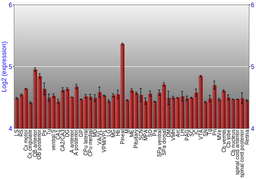 Expression graph