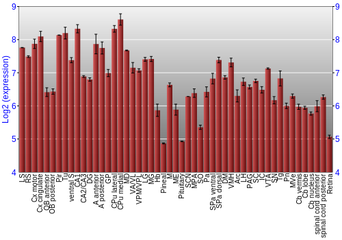 Expression graph