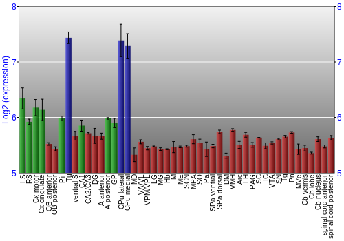 Multi-state expression graph