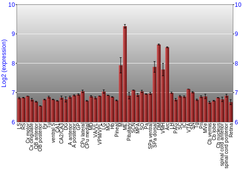 Expression graph