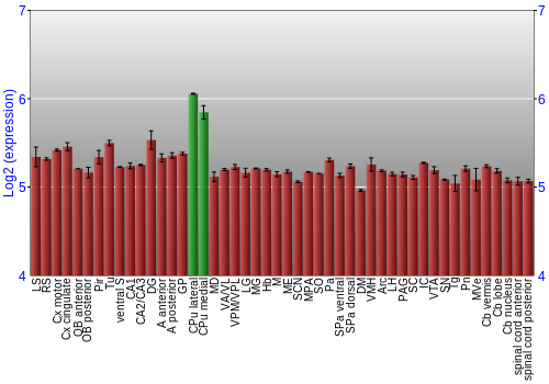 Multi-state expression graph