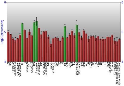 Multi-state expression graph