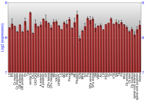 Expression graph