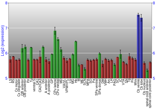 Multi-state expression graph
