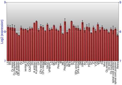 Expression graph