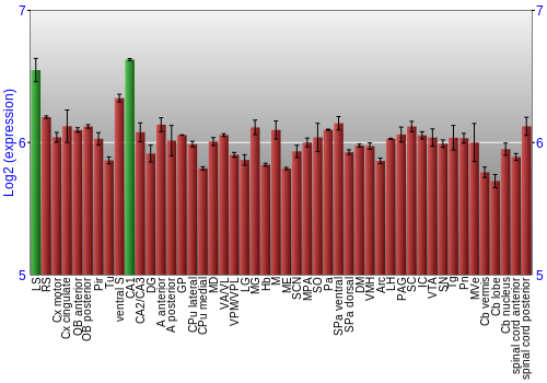 Multi-state expression graph