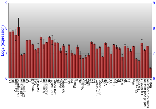 Expression graph