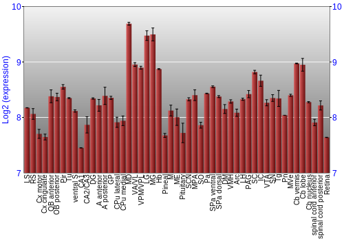 Expression graph