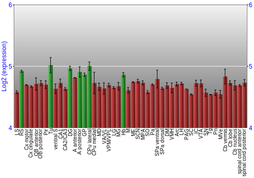 Multi-state expression graph