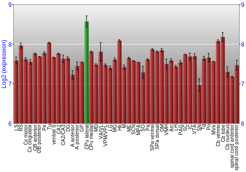 Multi-state expression graph