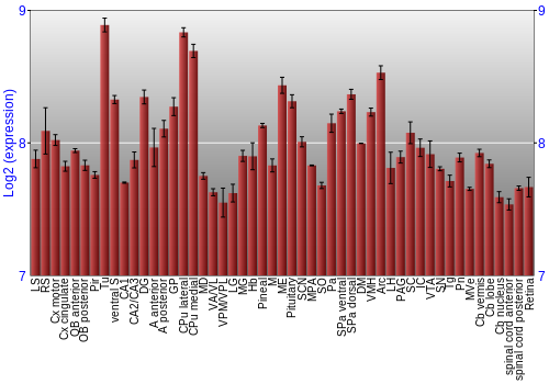 Expression graph