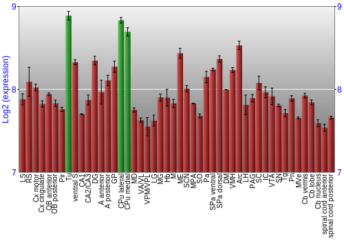 Multi-state expression graph