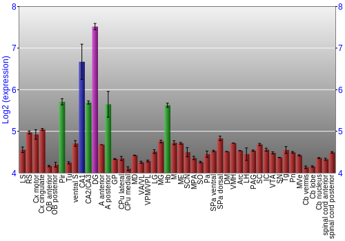 Multi-state expression graph