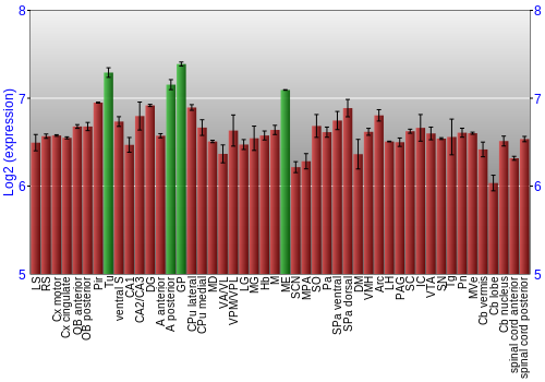Multi-state expression graph