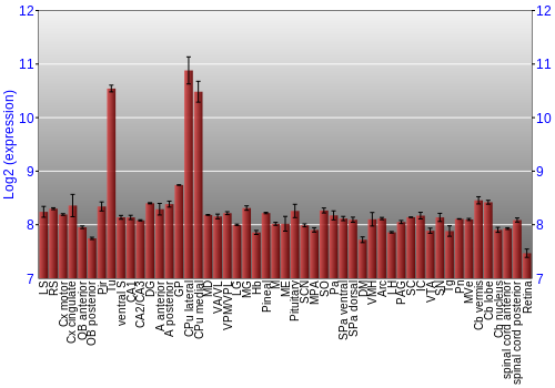 Expression graph