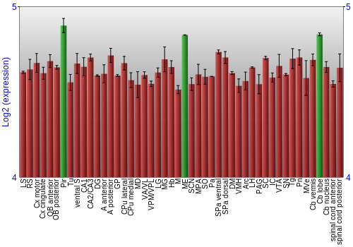 Multi-state expression graph
