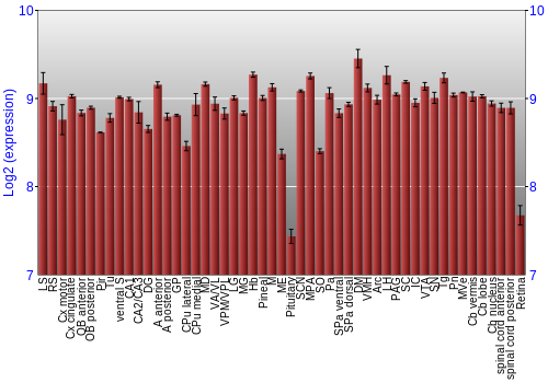 Expression graph